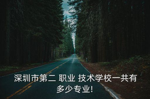  深圳市第二 职业 技术学校一共有多少专业!