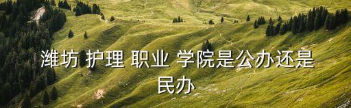  潍坊 护理 职业 学院是公办还是民办