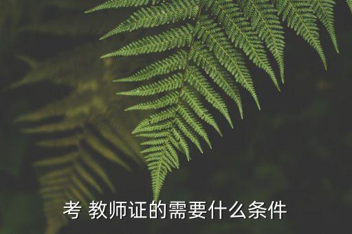 考 教师证的需要什么条件