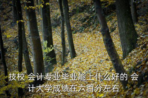技校 会计专业毕业能上什么好的 会计大学成绩在六百分左右