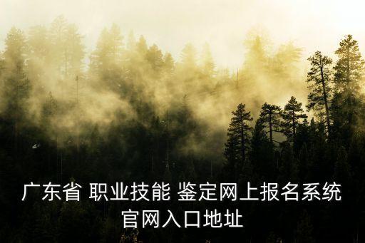 职业资格鉴定指导中心网站,河南省职业鉴定指导中心职业资格证书查询