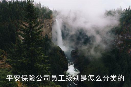 平安保险公司员工级别是怎么分类的