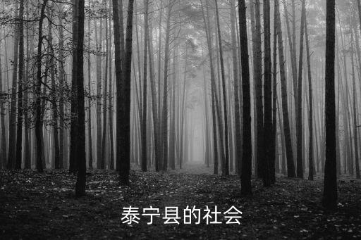  泰宁县的社会