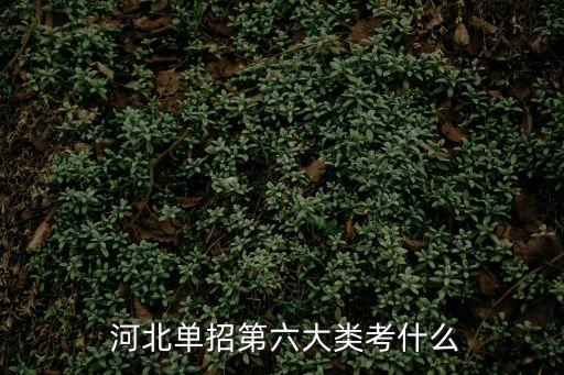  河北单招第六大类考什么