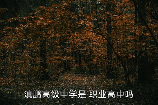 滇鹏高级中学是 职业高中吗