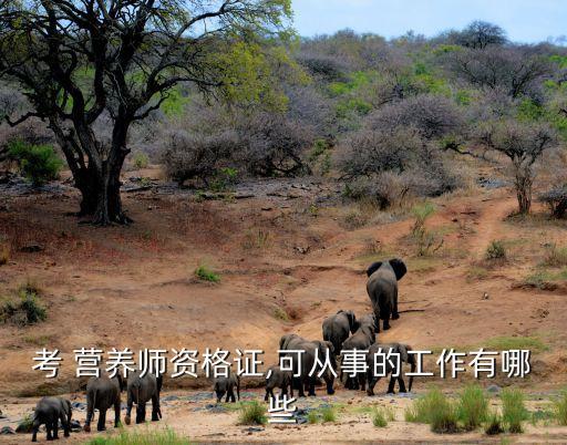 考 营养师资格证,可从事的工作有哪些