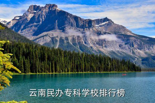 云南民办专科学校排行榜