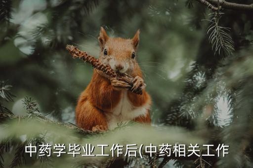中药学毕业工作后(中药相关工作