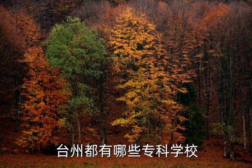  台州都有哪些专科学校