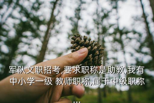 军队文职招考,要求职称是助教,我有中小学一级 教师职称,属于中级职称...