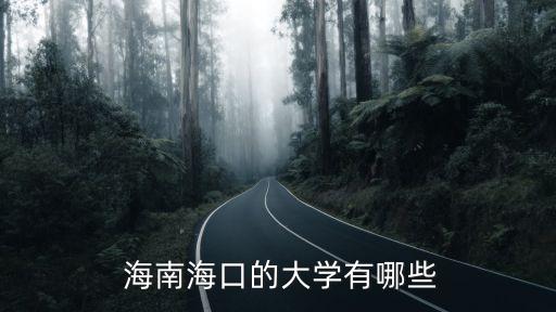 海南政法职业学院性质