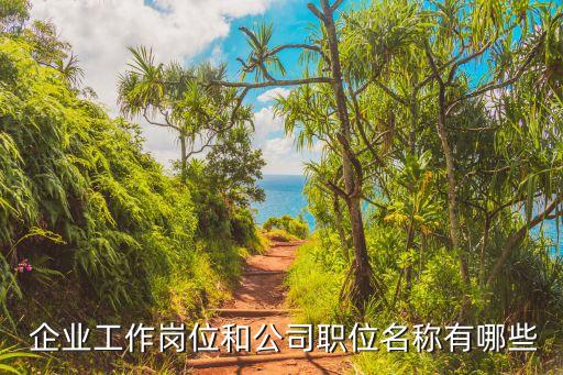  企业工作岗位和公司职位名称有哪些