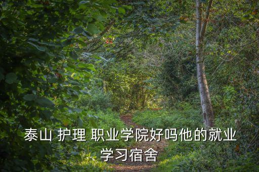  泰山 护理 职业学院好吗他的就业学习宿舍