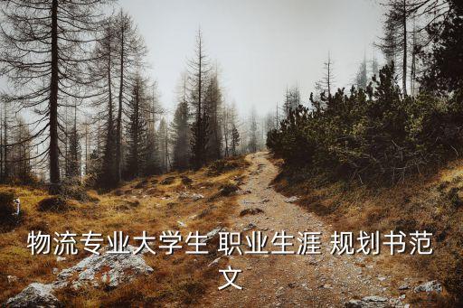 供应链管理 职业发展规划