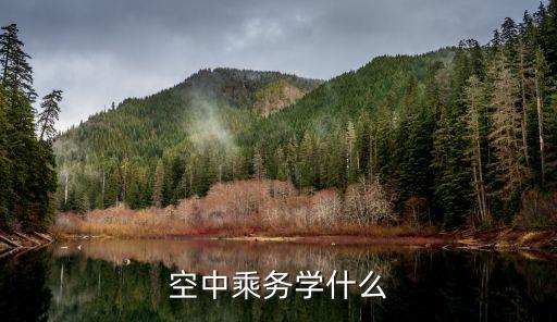 公共与空乘职业,谈谈你对空乘职业的理解