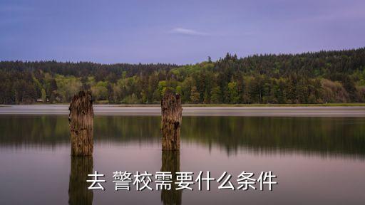 去 警校需要什么条件