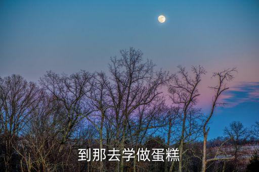 到那去学做蛋糕