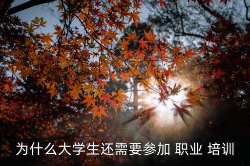 为什么大学生还需要参加 职业 培训