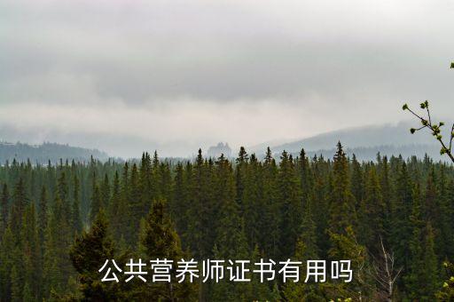 公共营养师证书有用吗