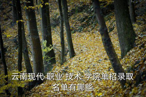 云南现代 职业 技术 学院单招录取名单有哪些