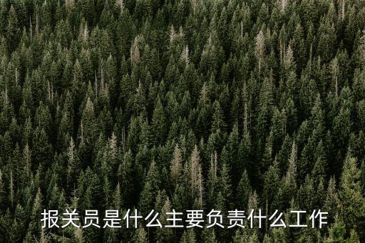  报关员是什么主要负责什么工作