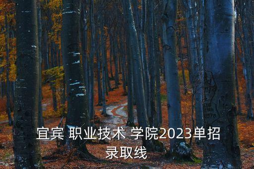  宜宾 职业技术 学院2023单招录取线