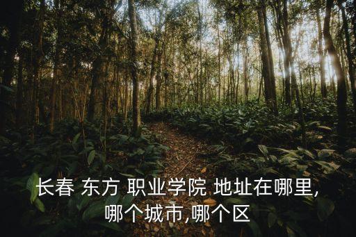 长春 东方 职业学院 地址在哪里,哪个城市,哪个区