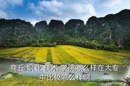 商丘 职业 技术 学院怎么样在大专中比较怎么样啊