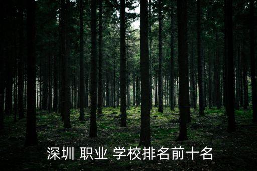  深圳 职业 学校排名前十名