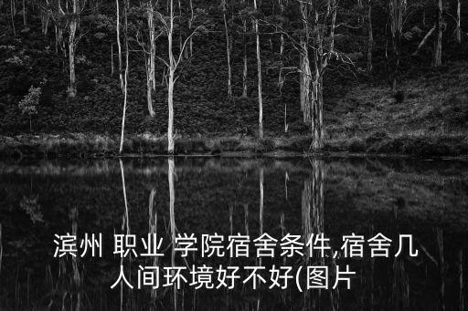  滨州 职业 学院宿舍条件,宿舍几人间环境好不好(图片