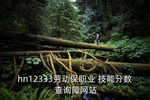 hn12333劳动保职业 技能分数 查询障网站