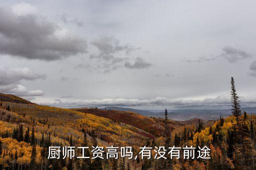  厨师工资高吗,有没有前途