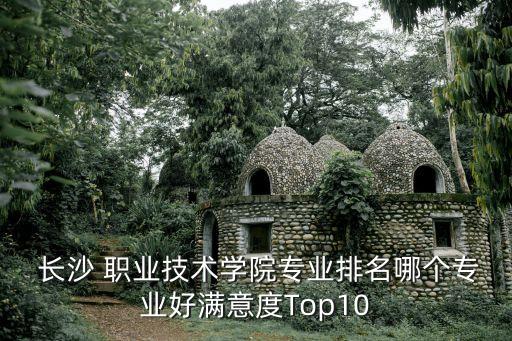  长沙 职业技术学院专业排名哪个专业好满意度Top10