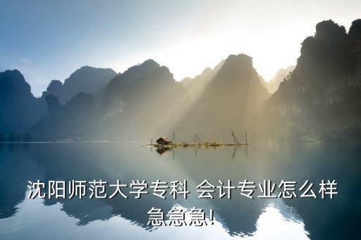  沈阳师范大学专科 会计专业怎么样急急急!