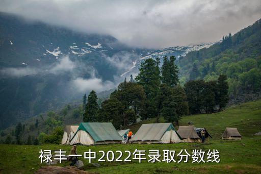 禄丰一中2022年录取分数线