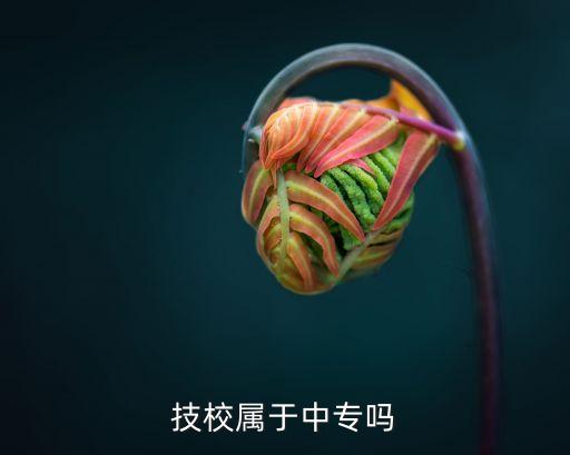 技校属于中专吗