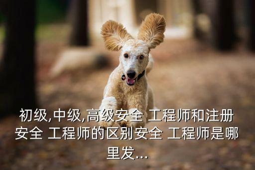 注册安全工程师职业和执业资格考试,注册核安全工程师执业资格考试