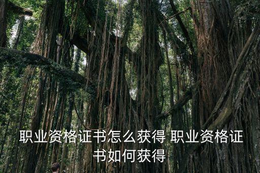  职业资格证书怎么获得 职业资格证书如何获得
