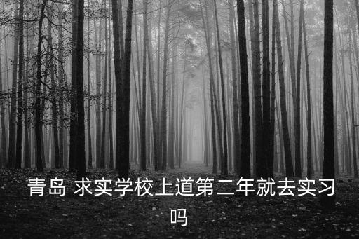  青岛 求实学校上道第二年就去实习吗