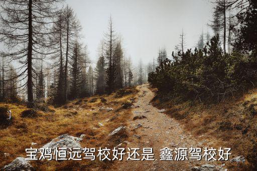 宝鸡恒远驾校好还是 鑫源驾校好