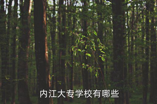  内江大专学校有哪些