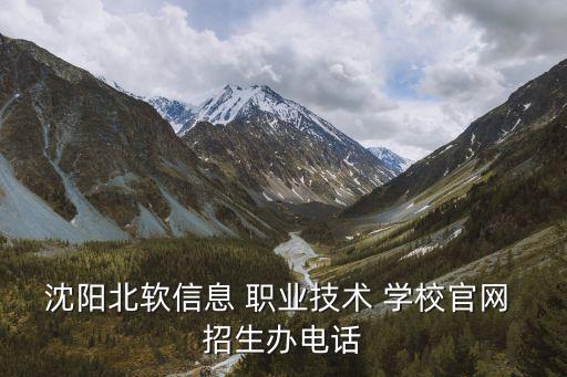 沈阳北软信息 职业技术 学校官网 招生办电话