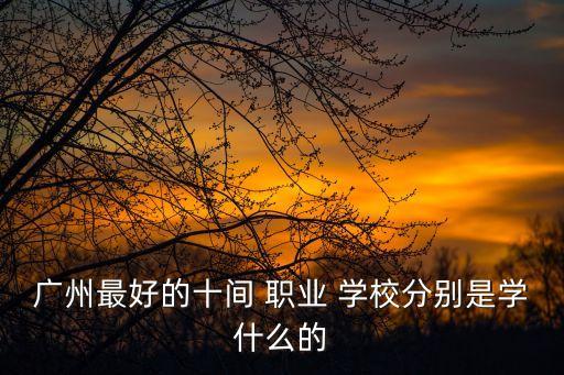 广州最好的十间 职业 学校分别是学什么的