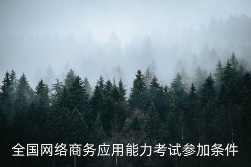 全国网络商务应用能力考试参加条件