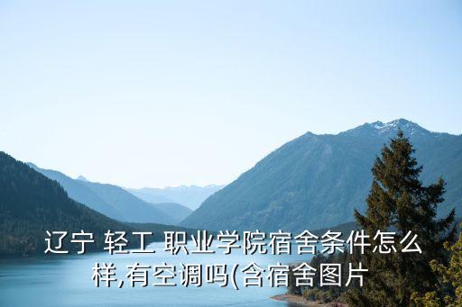  辽宁 轻工 职业学院宿舍条件怎么样,有空调吗(含宿舍图片