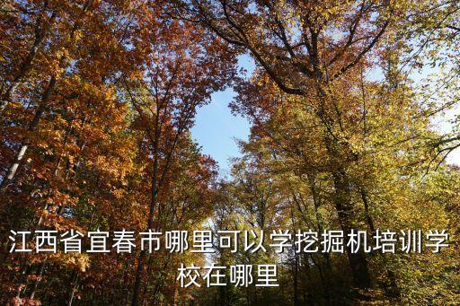 职业技术学校有学挖机,蓝翔职业技术学校挖机