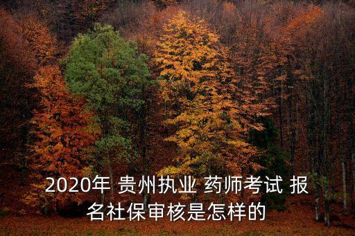 2020年 贵州执业 药师考试 报名社保审核是怎样的