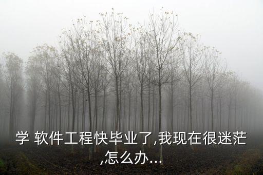 学 软件工程快毕业了,我现在很迷茫,怎么办...