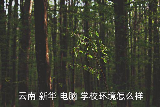 云南 新华 电脑 学校环境怎么样