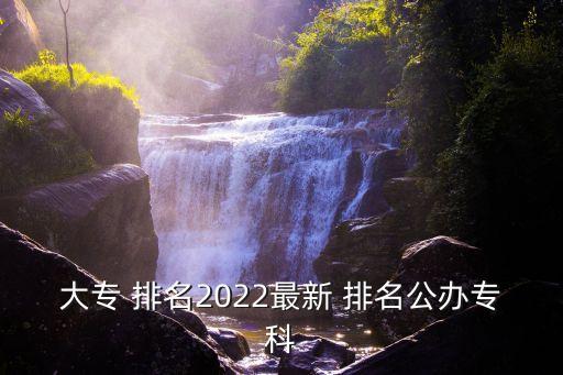 大专 排名2022最新 排名公办专科